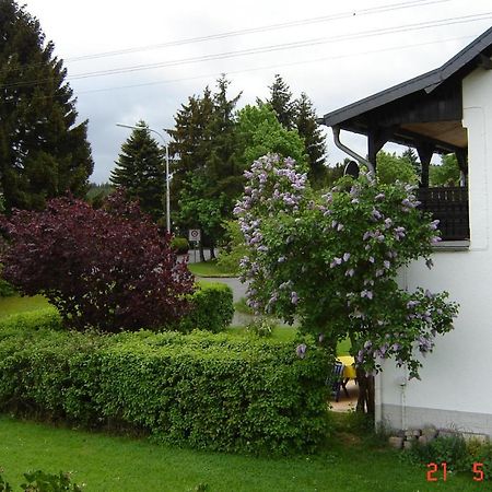 Urlaub Auf Dem Bauernhof Marx Villa Kelberg Bagian luar foto